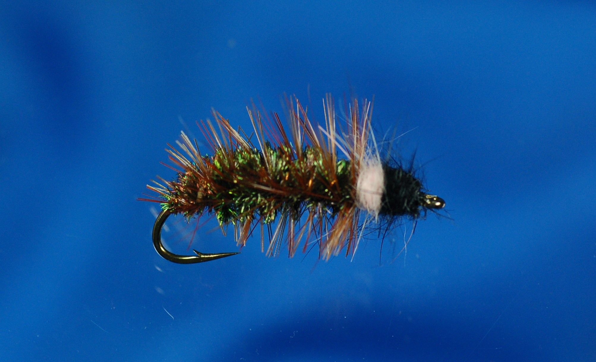 Cased Caddis Fly Fishing Flies with Fish4Flies UK